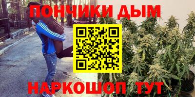 индика Мариинск