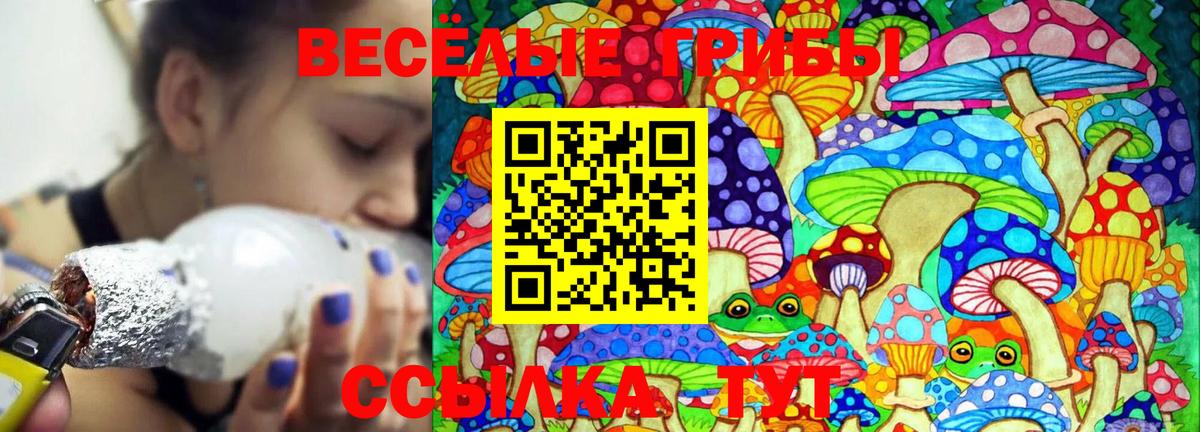 Галлюциногенные грибы прущие грибы Йошкар-Ола