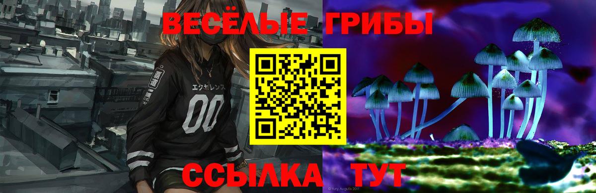 Псилоцибиновые грибы Magic Shrooms  Вход с VPN  Йошкар-Ола 